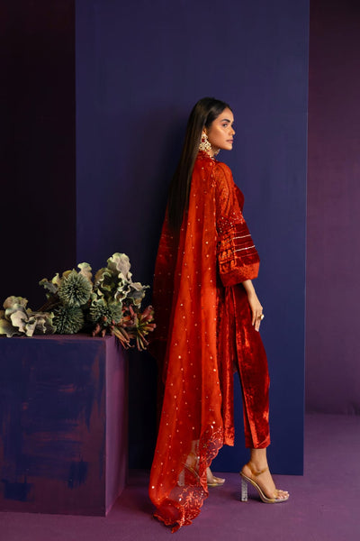 Anam Akhlaq | Festive Collection | D-41 -  Anam Akhlaq Formal - Original Designer Dress - House of Maryam