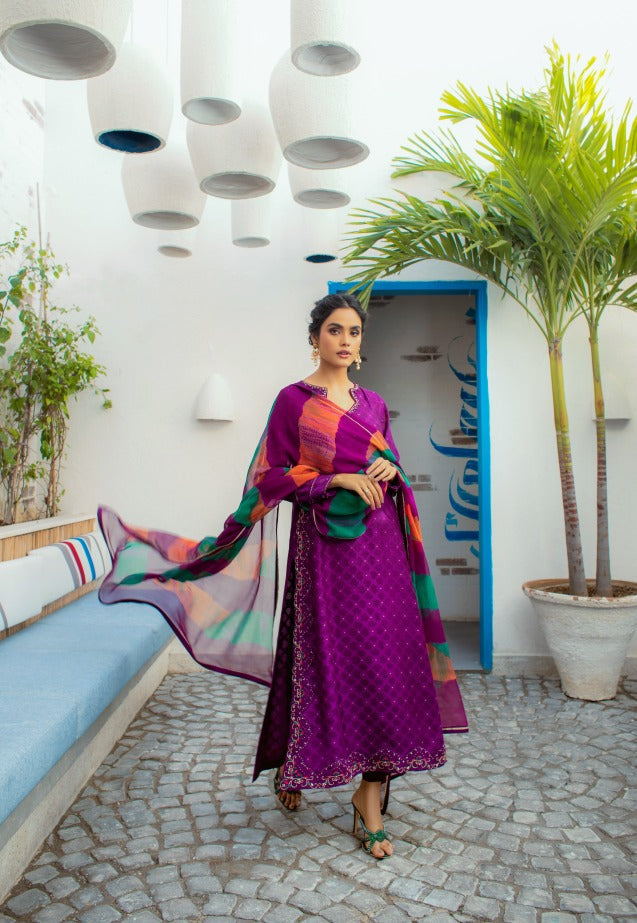 Anam Akhlaq | Festive Collection | D-14 by Anam Akhlaq - House of Maryam