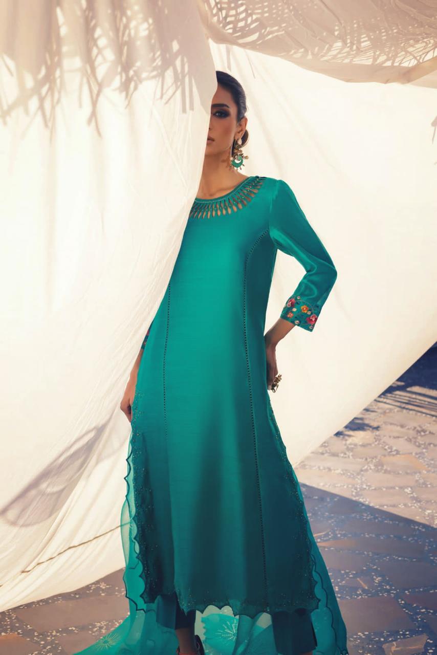 Anam Akhlaq | Festive Collection | D-48 by Anam Akhlaq - House of Maryam