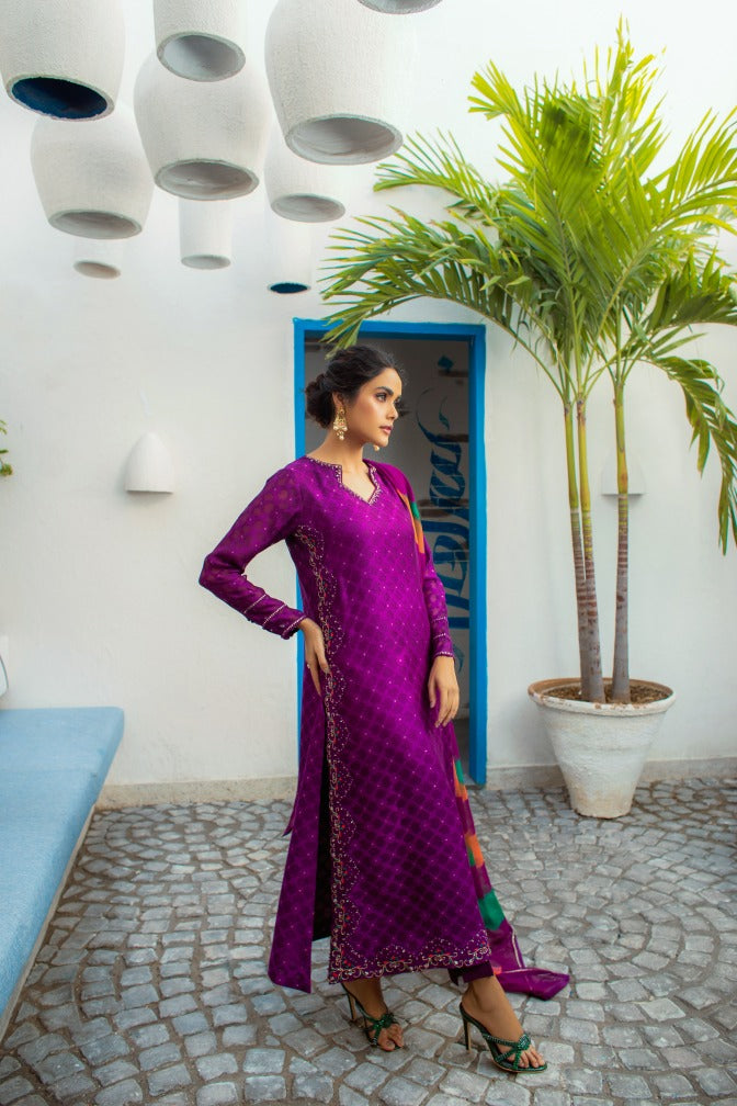 Anam Akhlaq | Festive Collection | D-14 by Anam Akhlaq - House of Maryam