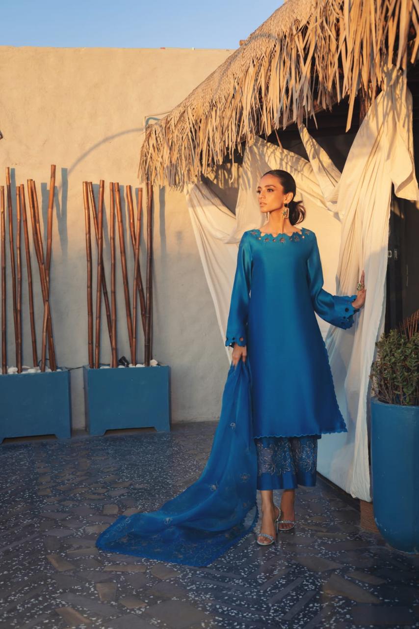 Anam Akhlaq | Festive Collection | D-50 -  Anam Akhlaq Formal - Original Designer Dress - House of Maryam