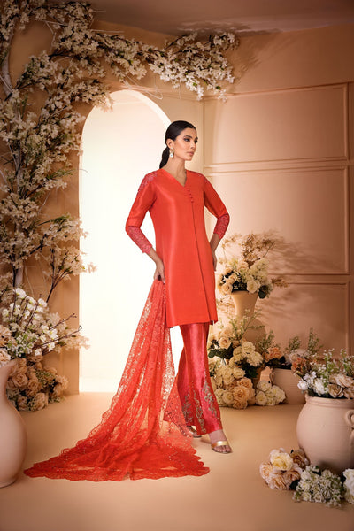 Anam Akhlaq | Festive Collection | D-33 -  Anam Akhlaq Formal - Original Designer Dress - House of Maryam