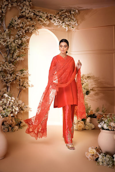 Anam Akhlaq | Festive Collection | D-33 -  Anam Akhlaq Formal - Original Designer Dress - House of Maryam