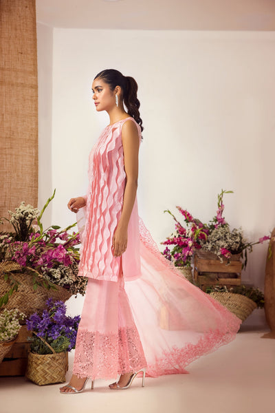 Anam Akhlaq | Festive Collection | D-36 -  Anam Akhlaq Formal - Original Designer Dress - House of Maryam