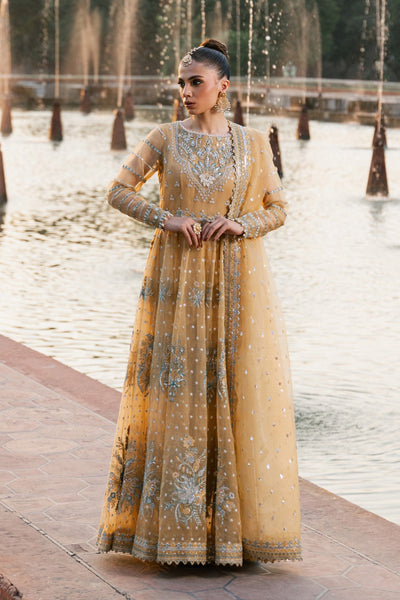 Maryum N Maria | Zircon Formals | JAHANANA - MS40074 -  Maryum N Maria Ladies Clothes - Original Designer Dress - House of Maryam
