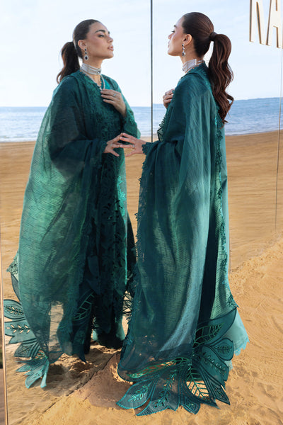 Rangrasiya | Premium Summer Collection 26 | Ayleen