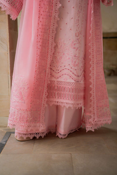 Azzal | Lawn 25 | CORAL
