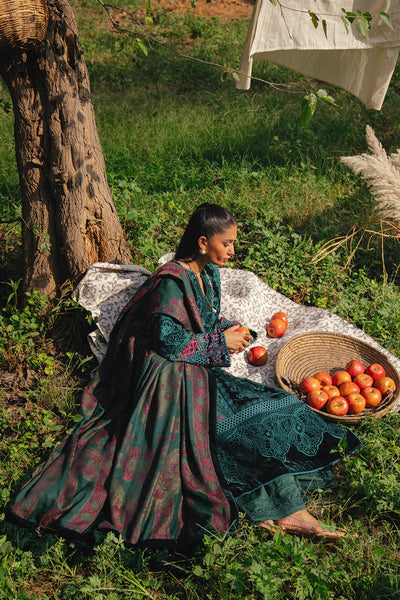 Saira Rizwan | Winter 2024 | DEA-SRW24-01 -  Saira Rizwan Ladies Clothes - Original Designer Dress - House of Maryam