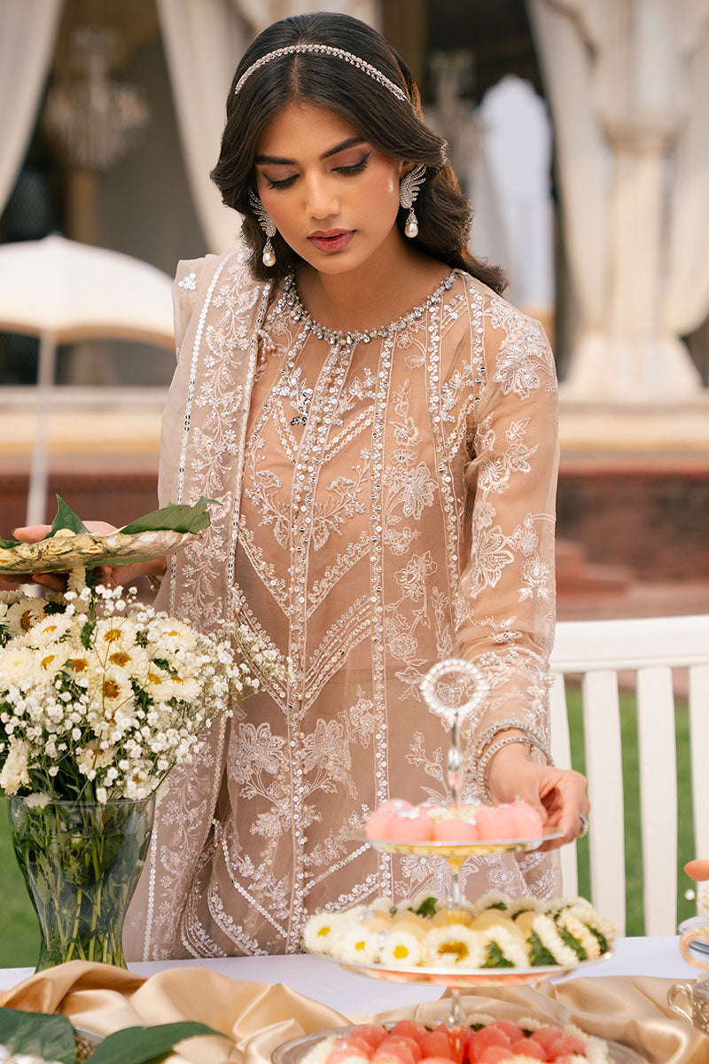 Cross Stitch | Wedding Pret | Bronze Blaze-3PC Organza Embroidered Pret