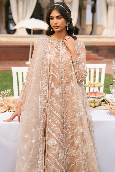 Cross Stitch | Wedding Pret | Bronze Blaze-3PC Organza Embroidered Pret