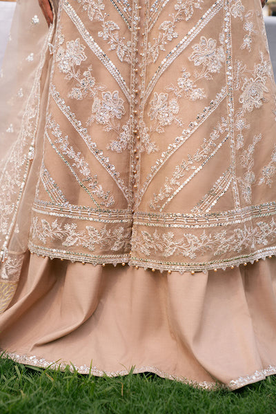Cross Stitch | Wedding Pret | Bronze Blaze-3PC Organza Embroidered Pret