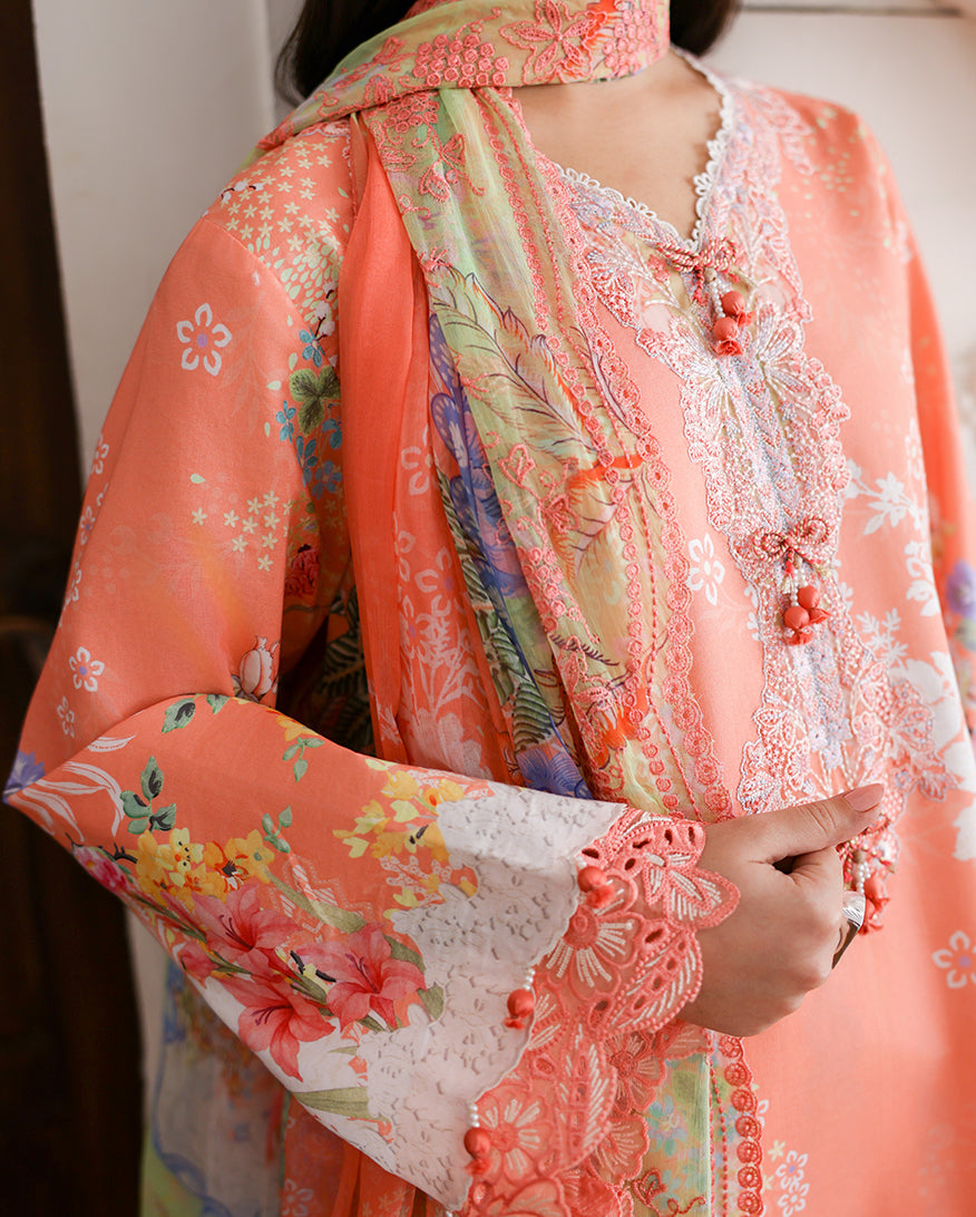 Roheenaz | Sunlit Tales Printed Embroidered Edit | Blush tale, image 3