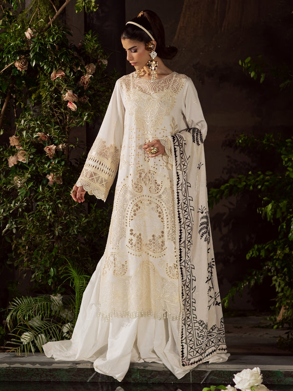 Mahnur | Amelia Luxury Winter 25 |CK-003 Kotrai-4