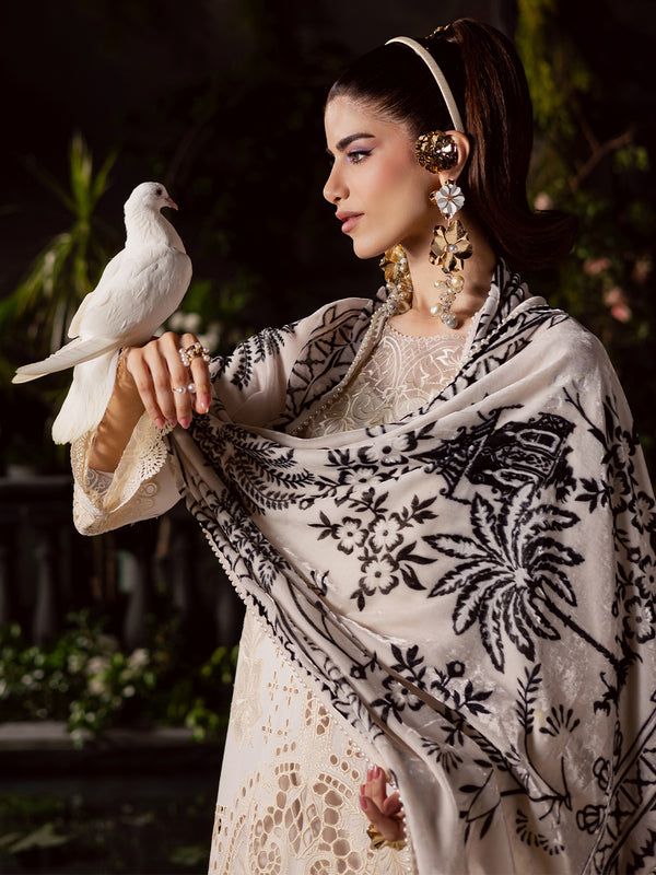 Mahnur | Amelia Luxury Winter 25 |CK-003 Kotrai-5