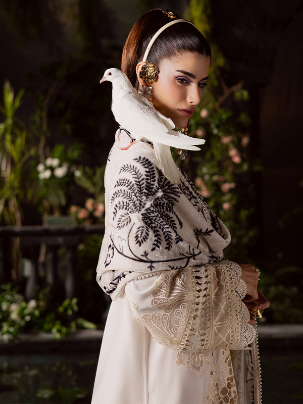 Mahnur | Amelia Luxury Winter 25 |CK-003 Kotrai-6