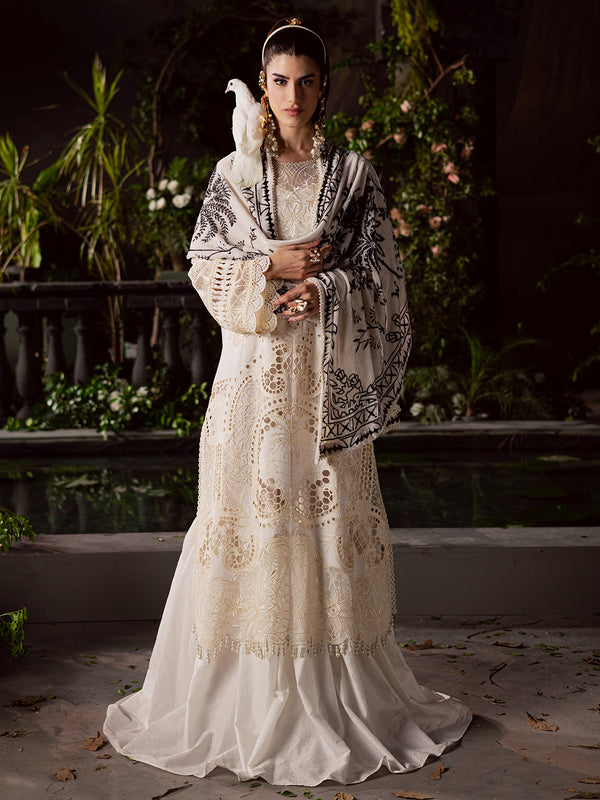 Mahnur | Amelia Luxury Winter 25 |CK-003 Kotrai-7