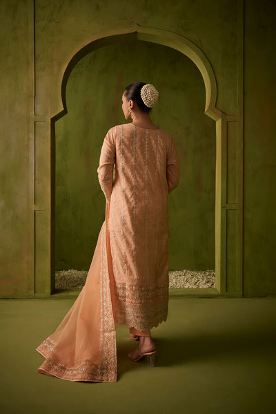 Dhanak | Festive Formals | SS24DU-3199 L-PINK 3Pcs -  Dhanak Formal - Original Designer Dress - House of Maryam