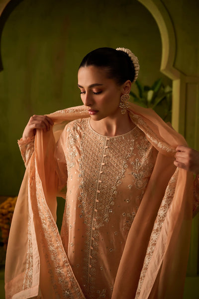 Dhanak | Festive Formals | SS24DU-3199 L-PINK 3Pcs -  Dhanak Formal - Original Designer Dress - House of Maryam
