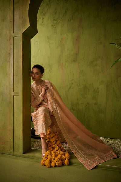 Dhanak | Festive Formals | SS24DU-3199 L-PINK 3Pcs -  Dhanak Formal - Original Designer Dress - House of Maryam