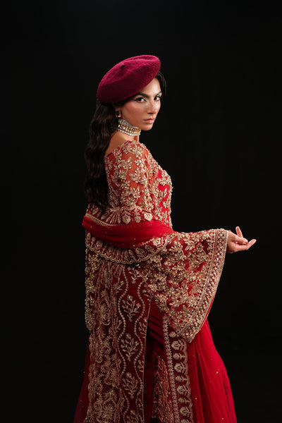 Ammara Khan | Kara Wedding Formals | D-02 -  Ammara Khan Ladies Clothes - Original Designer Dress - House of Maryam