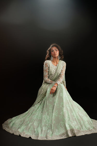 Ammara Khan | Kara Wedding Formals | D-05 -  Ammara Khan Ladies Clothes - Original Designer Dress - House of Maryam