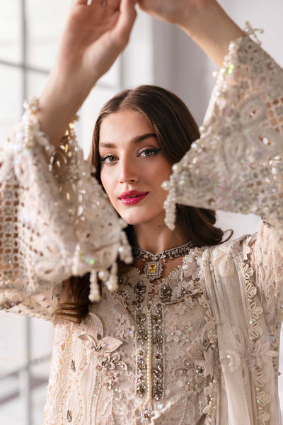 Maria B | Mbroidered 2025 | BD-3007 -  Maria B Ladies Clothes - Original Designer Dress - House of Maryam