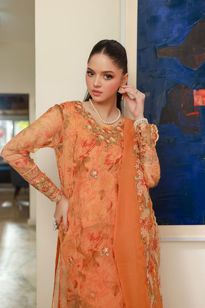 Dhanak | Chiffon Pret |  SS25DA-2716 -  Dhanak Ladies Clothes - Original Designer Dress - House of Maryam