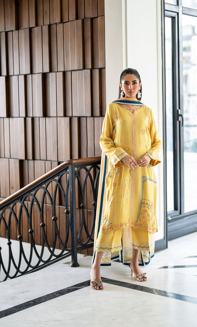 Dhanak | SS 25 Luxury Pret | SS25DL-0316 -  Dhanak Ladies Clothes - Original Designer Dress - House of Maryam