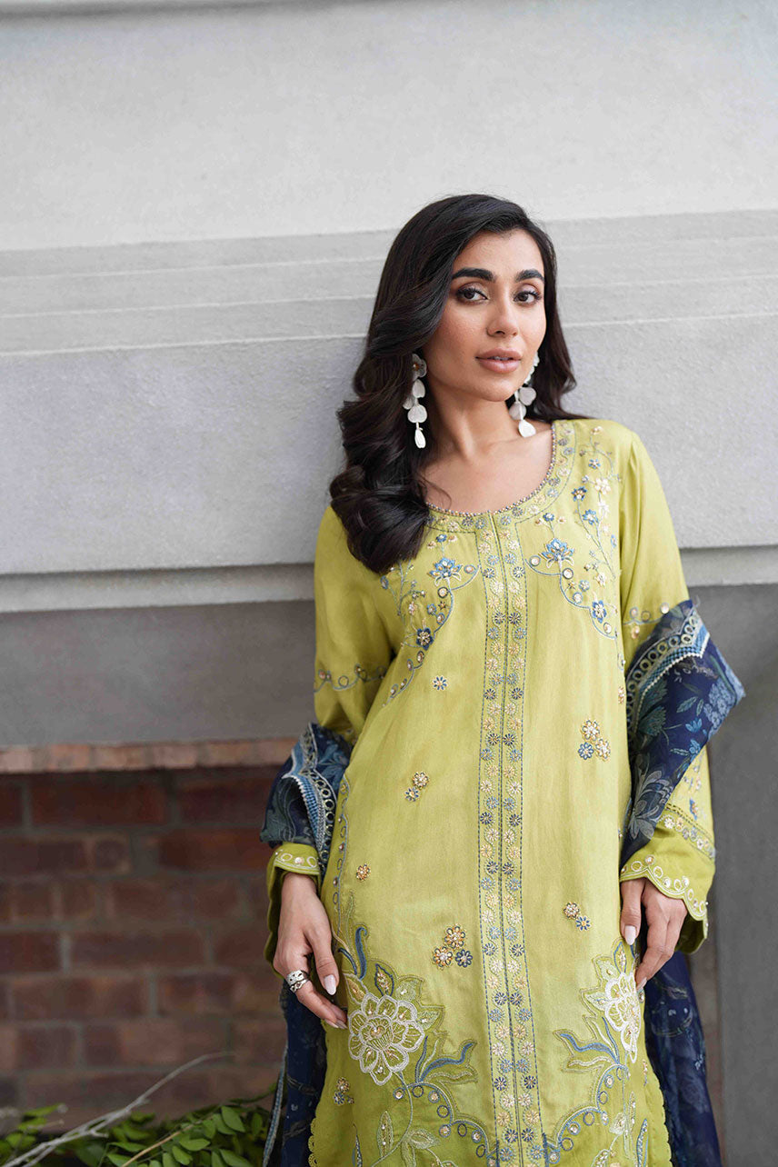 Dhanak | SS 25 Luxury Pret | SS25DL-0318 -  Dhanak Ladies Clothes - Original Designer Dress - House of Maryam
