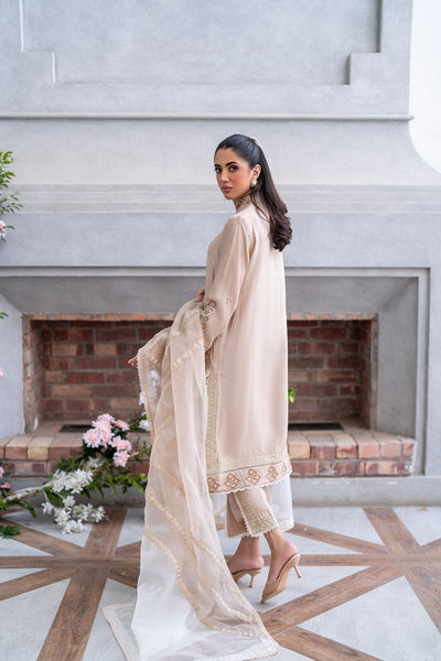 Dhanak | SS 25 Luxury Pret | SS25DL-0322 -  Dhanak Ladies Clothes - Original Designer Dress - House of Maryam