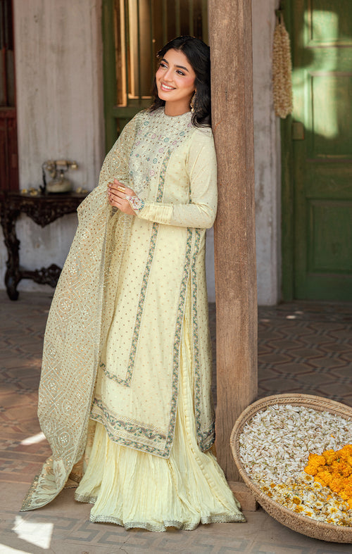 Maya | Dil ki Batain | RUBA -  Maya Ladies Clothes - Original Designer Dress - House of Maryam
