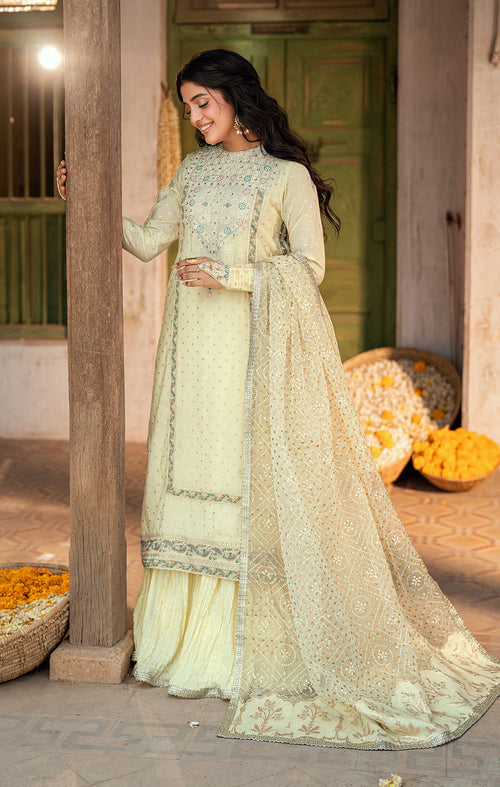 Maya | Dil ki Batain | RUBA -  Maya Ladies Clothes - Original Designer Dress - House of Maryam