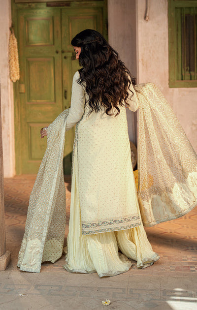 Maya | Dil ki Batain | RUBA -  Maya Ladies Clothes - Original Designer Dress - House of Maryam
