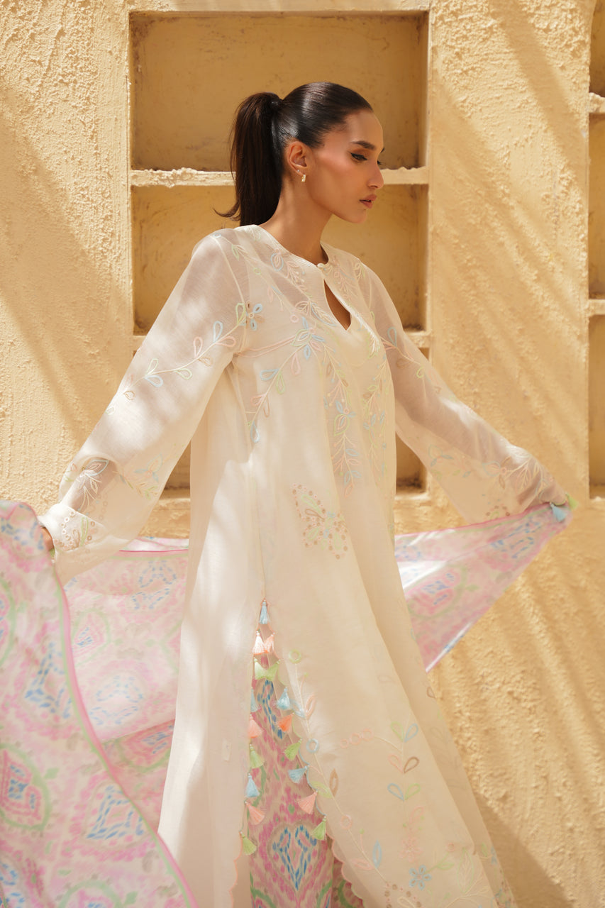 Sania Maskatiya | Eid ul Adha Edit | Amil-3
