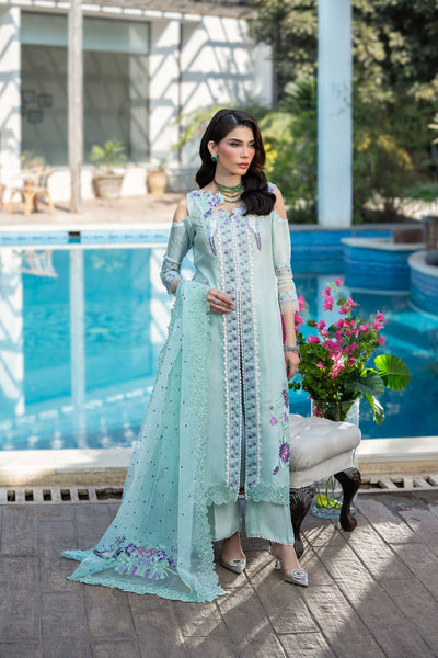 Tabyaa | Ruby Collection 25 | Feroza -  Tabyaa Ladies Clothes - Original Designer Dress - House of Maryam