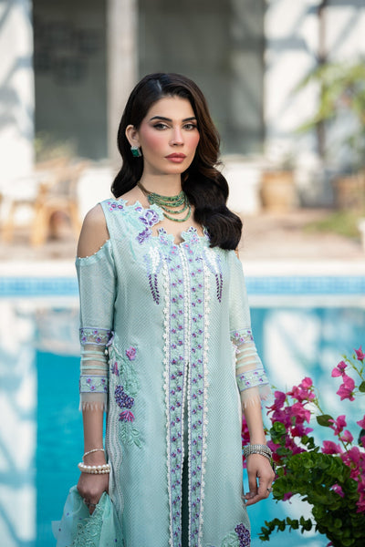 Tabyaa | Ruby Collection 25 | Feroza -  Tabyaa Ladies Clothes - Original Designer Dress - House of Maryam