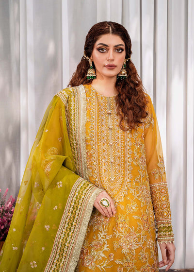 Akbar Aslam Rohi organza formal suit, photo 2
