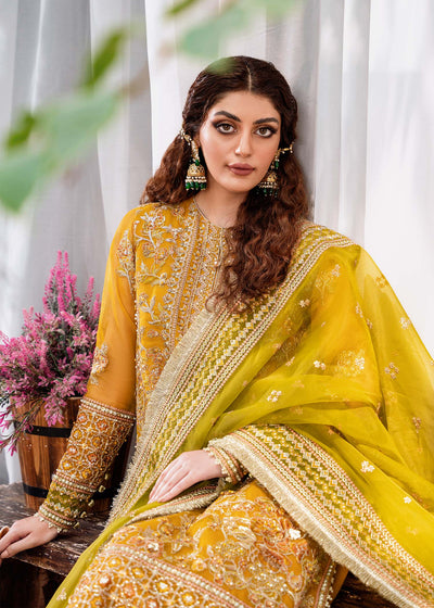 Akbar Aslam Rohi organza formal suit, photo 5