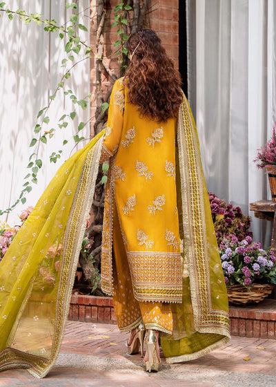 Akbar Aslam Rohi organza formal suit, photo 4