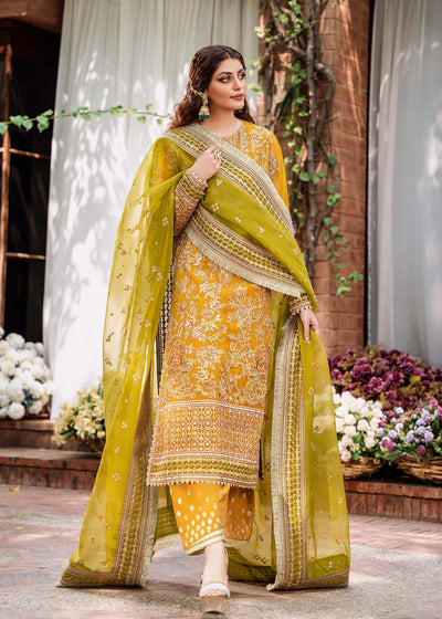 Akbar Aslam Rohi organza formal suit