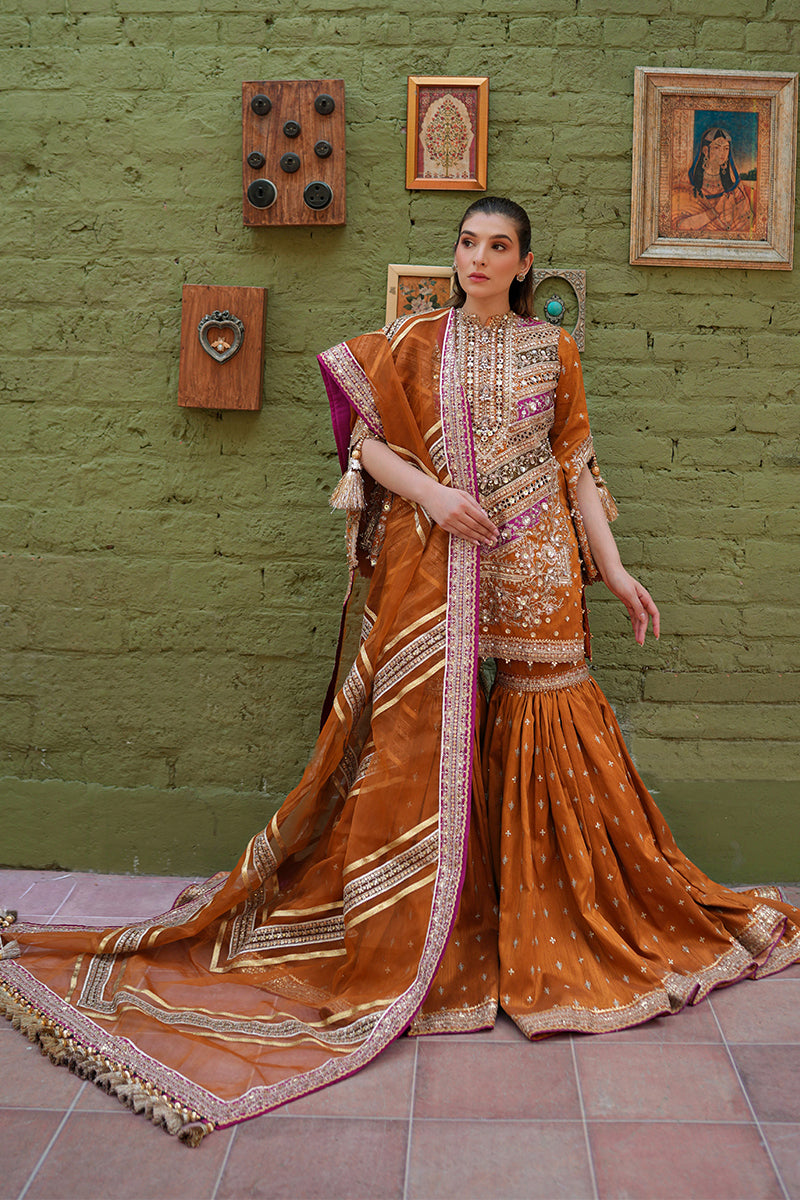 MNR | Zarlish Festive 25 | Zainab Reza in Ranjish-2