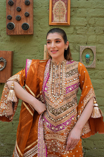 MNR | Zarlish Festive 25 | Zainab Reza in Ranjish