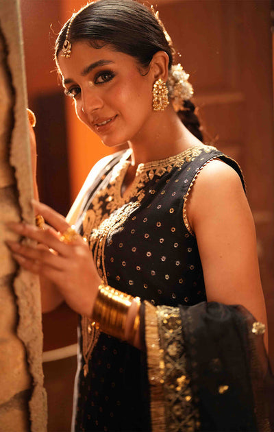 Maya | Dil ki Batain | KAMILA -  Maya Ladies Clothes - Original Designer Dress - House of Maryam
