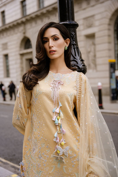Sobia Nazir | Nimr 26 | Zarqa