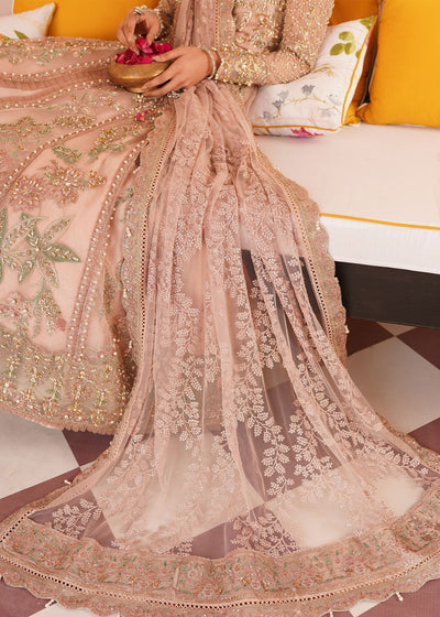 Mehak Yaqoob | Serene Vol 3 | Salmon Pink -  Mehak Yaqoob Wedding Formals - Original Designer Dress - House of Maryam