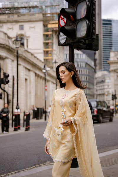 Sobia Nazir | Nimr 26 | Zarqa