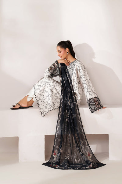 Xenia Formals | Lessence Summer 26 | TIA