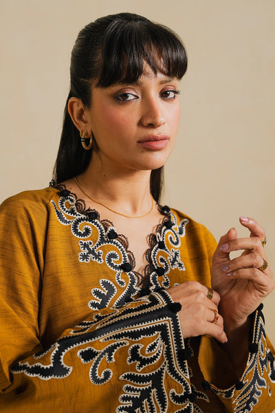 Elan | Indigene Pret |AARIZ (ERW-21580)