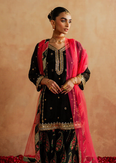 Mahgul | Chanderi Eid Edit | Coral Mist
