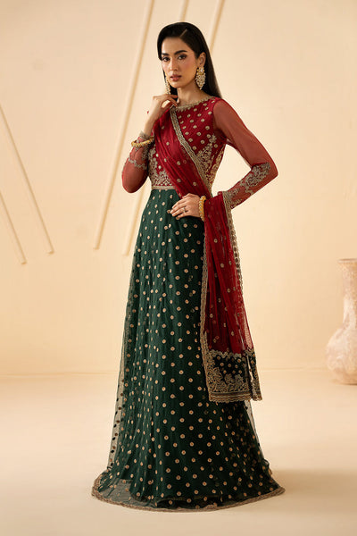 Zarif | Riwayat Formals | ELIKA